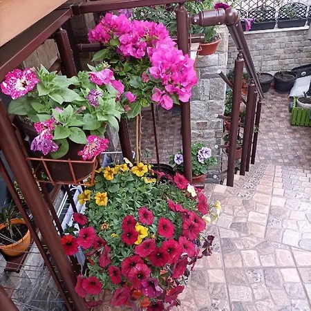 Damaris ゲストハウス