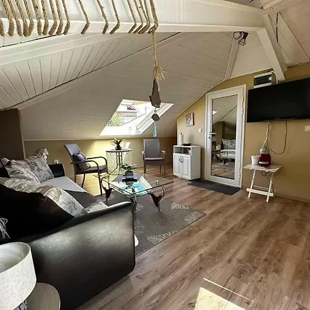 Damaris 3* ソゾポル