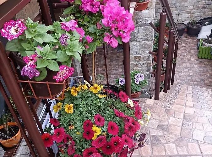 Damaris Гостевой дом